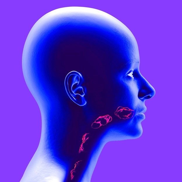 یک برنامه منظم خانگی را دنبال کنید.
