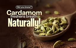 هل چگونه می تواند به جلوگیری از عفونت های دهان کمک کند؟